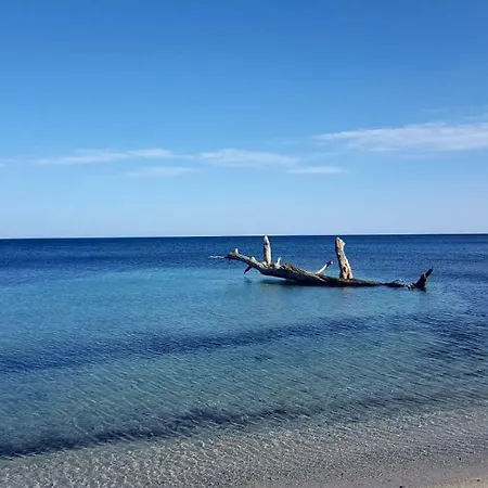 A Due Passi Dal Mare Appartement